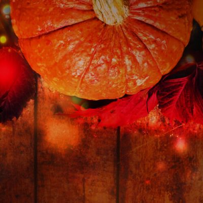 Minhas Distillery's Advent Calendar perfect gift for the Holidays - Day 2 Maya Pumpkin Spice Cream Liqueur