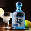 The lemon infused Lemon Polo Gin Recipe is bound make your cokctail parties more interesting